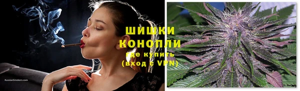 Альфа ПВП Няндома