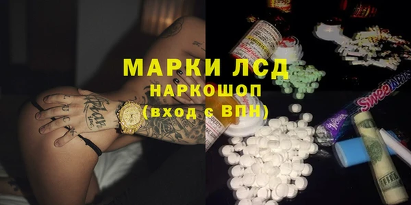 ешки Новозыбков