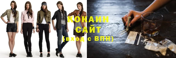 Альфа ПВП Няндома