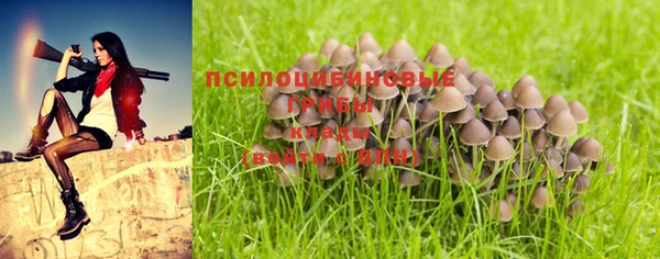 марки lsd Нязепетровск