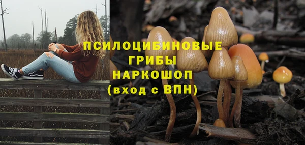 гидропоника Нягань