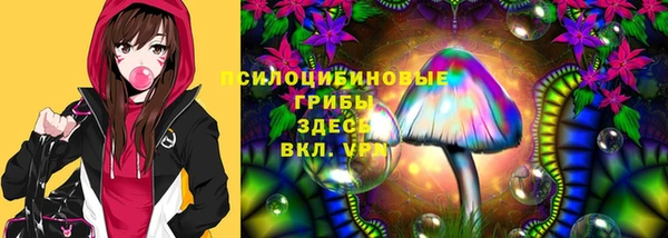 гидра Новокубанск