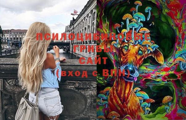 ешки Новозыбков