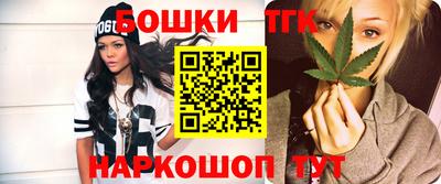 соль ск Новозыбков