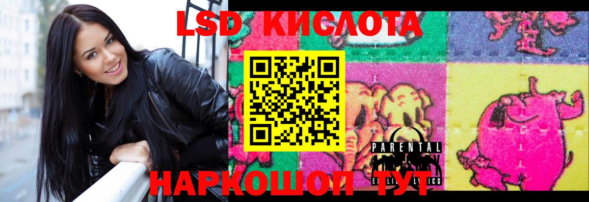 Новоуральск  ЛСД экстази ecstasy  гидра как войти  LSD-25 экстази ecstasy  Вход с VPN 