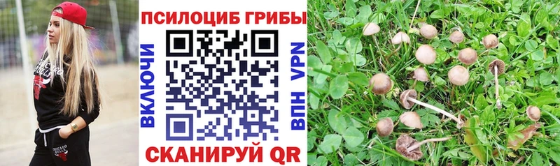 кракен онион  Новоуральск  Галлюциногенные грибы Magic Shrooms 
