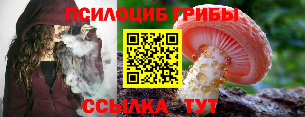 Новоуральск  Псилоцибиновые грибы ЛСД  Вход с VPN 