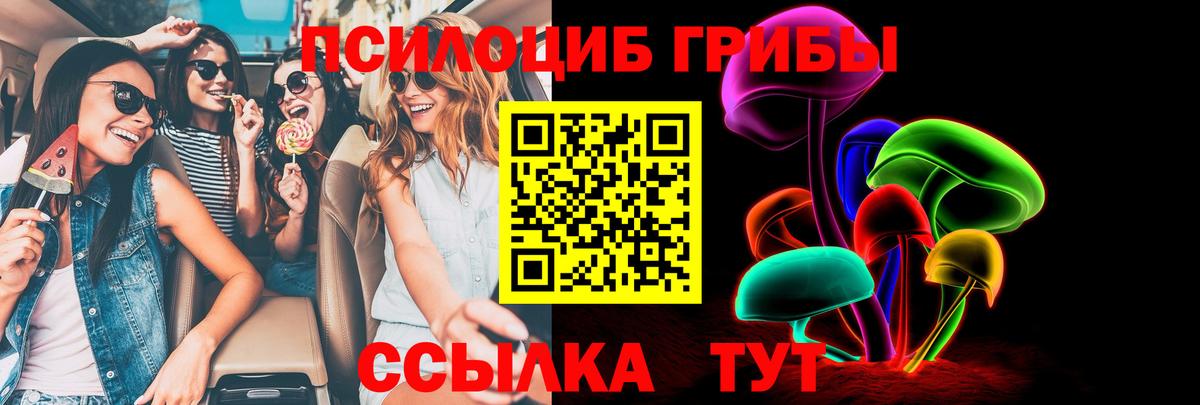 Галлюциногенные грибы MAGIC MUSHROOMS  Новоуральск  Псилоцибиновые грибы GOLDEN TEACHER 